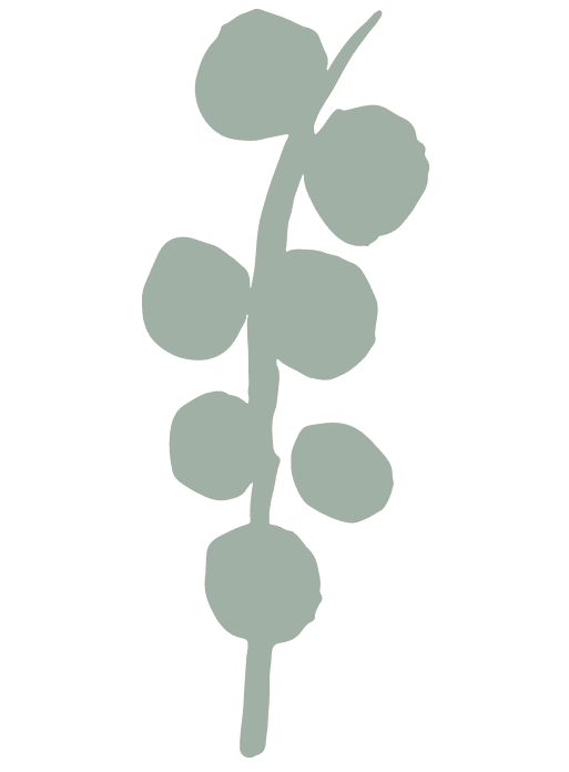 Planta decorativa