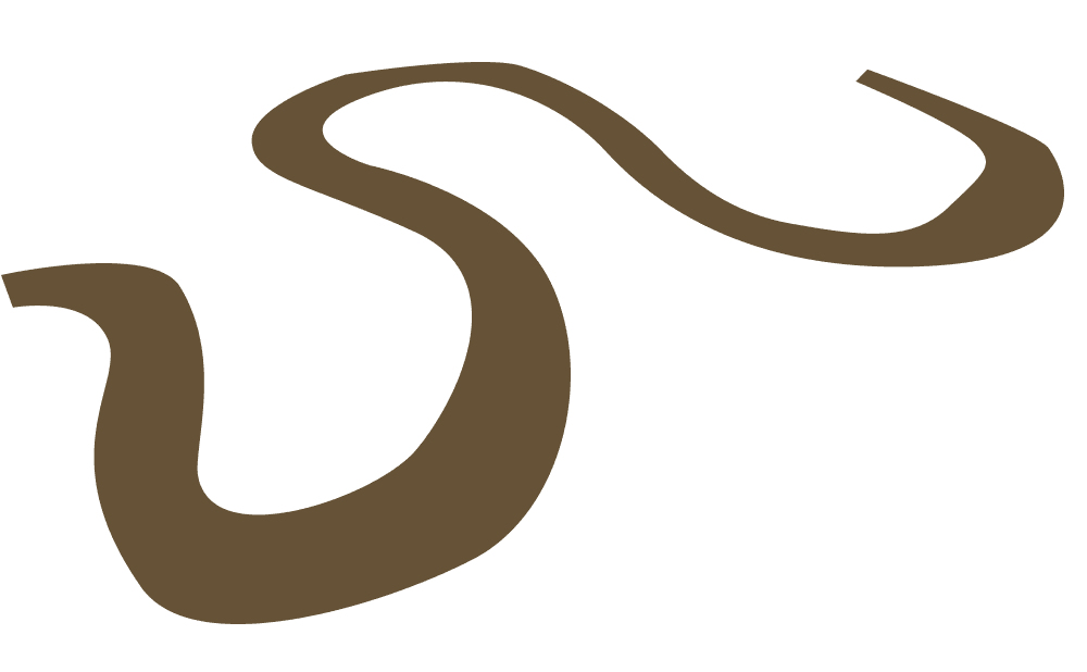 Rio decorativo